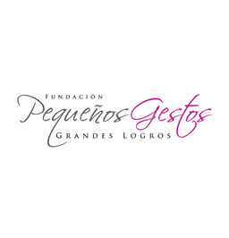 Fundación Pequeños Gestos, Grandes Logros
